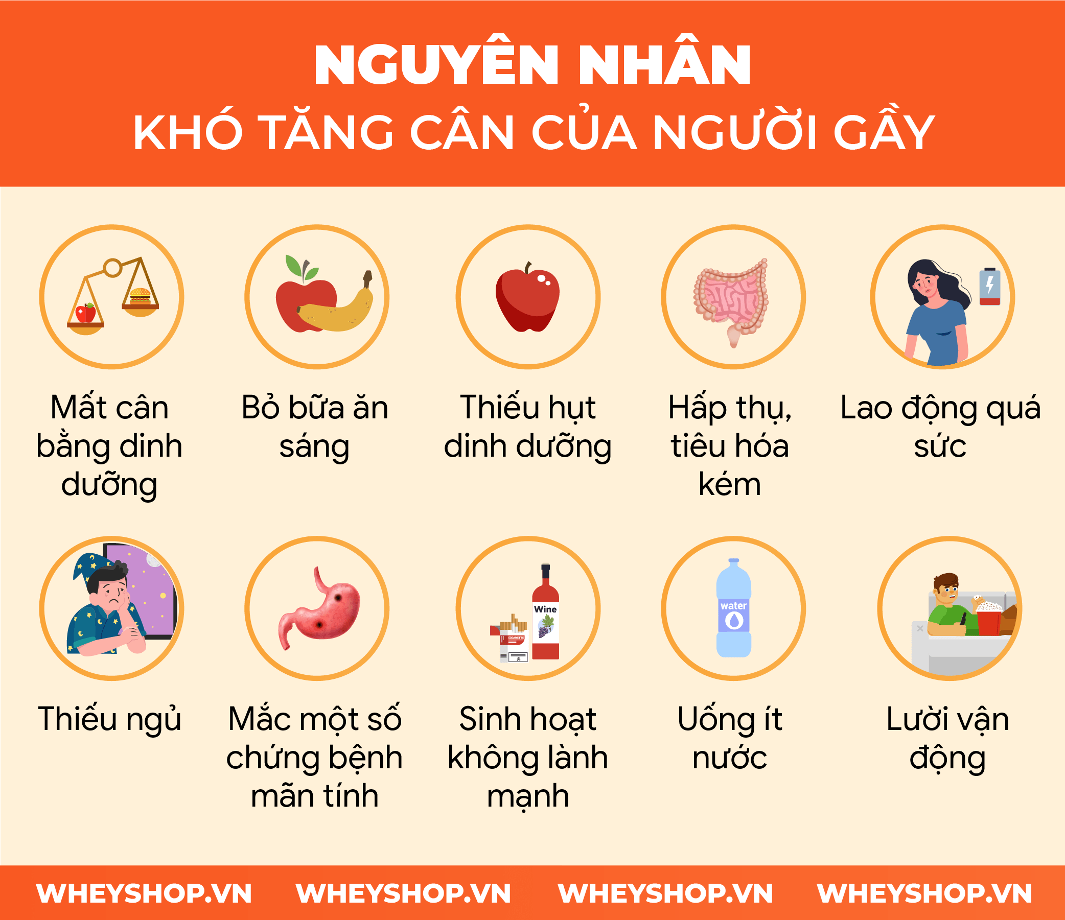 10 Nguyên Nhân Khó Tăng Cân Và Cách Khắc Phục Cho Người Gầy 