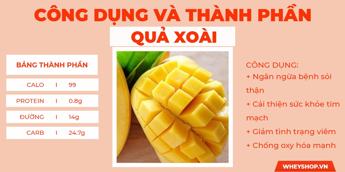 Nếu bạn đang gầy lâu năm, khó tăng cân, khó cải thiện dù ăn nhiều thực phẩm, tìm hiểu ngay 20 loại trái cây làm tăng cân nhanh, hiệu quả nhất dành cho người gầy