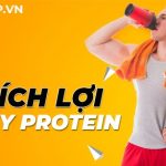 Cùng Dinh Dưỡng Thể Hình tìm hiểu về lợi ích của Whey protein đối với việc phát triển cơ bắp. cách sử dụng Whey Protein đạt hiệu quả cao nhất như...
