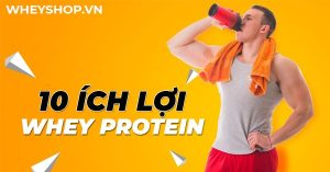 10 lợi ích của Whey Protein người tập gym cần biết