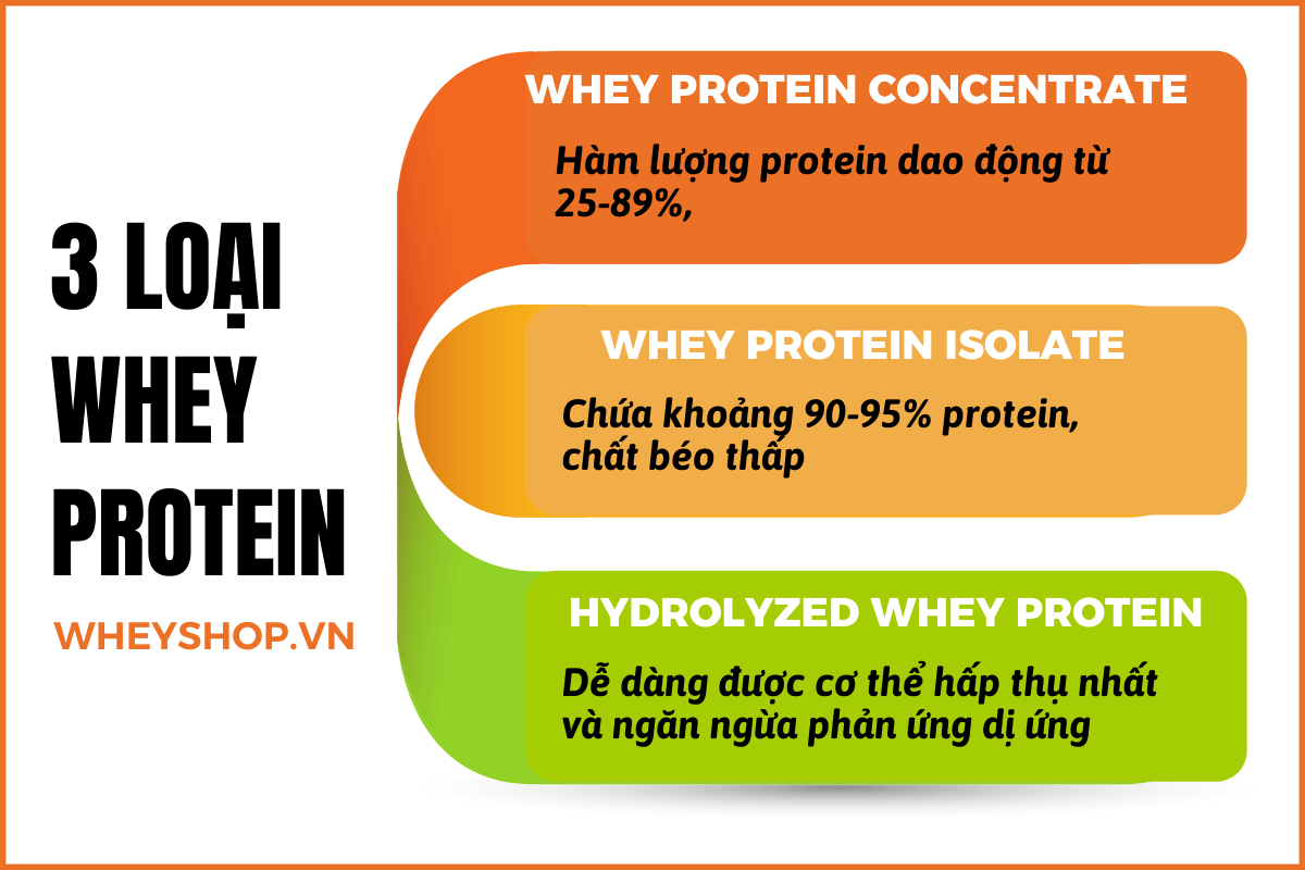 Cùng WheyShop tìm hiểu và phân biệt Whey Protein và Mass Gainer đơn giản và chính xác qua bài viết ngay sau đây nhé...