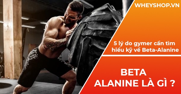 Cách sử dụng Beta Alanine để tăng hiệu suất tập luyện?
