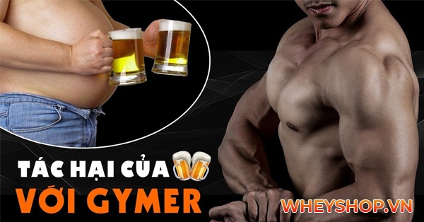 Tại sao không nên uống bia sau khi tập gym?