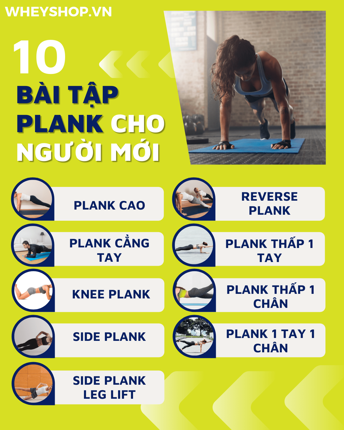 Plank là gì? Những người mới bắt đầu thì nên tập những bài tập plank như thế nào?