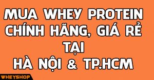 Mua Whey Protein ở đâu chính hãng giá rẻ Hà Nội TpHCM ?