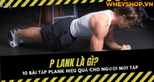 Plank là gì? 10 bài tập Plank hiệu quả cho người mới tập