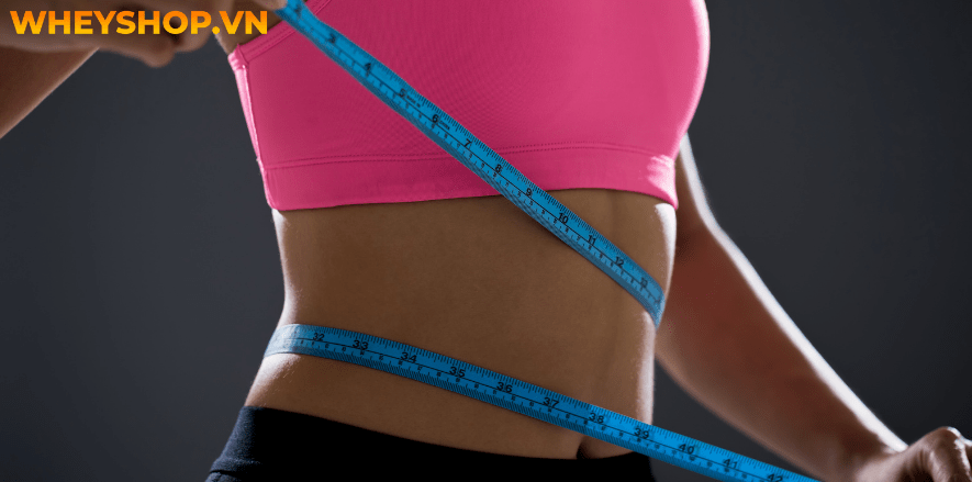 Body fat là gì và công thức tính body fat sao cho chuẩn...Body fat - mỡ cơ thể: là một thành phần phức tạp...gọi là BodyMetrix...