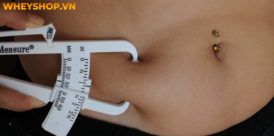 Body fat là gì và công thức tính body fat sao cho chuẩn...Body fat - mỡ cơ thể: là một thành phần phức tạp...gọi là BodyMetrix...