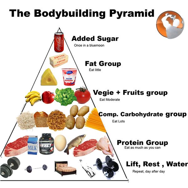Mô hình tháp dinh dưỡng cho người tập thể hình tốt nhất  Dinh dưỡng thể  hình
