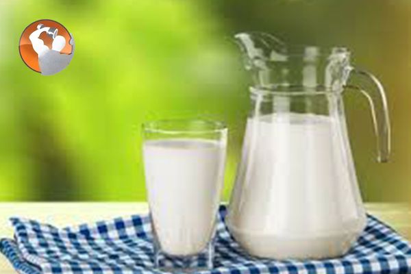 Dùng sữa uống tập thể hình như thế nào mới hiệu quả nhất?