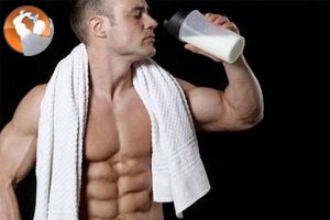 Tập thể hình nên uống sữa bổ sung gì?