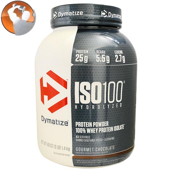 whey protein isolate 100 copy