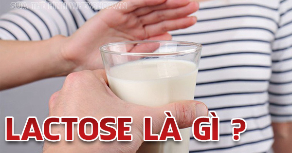 Lactose la gi tieu chay khi su dung whey mass 600x314 1