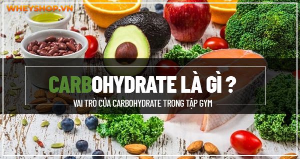 Carbohyrate là gì ? Carbohydrate là tinh bột được chia làm hai nhóm chính. Carbohydrate đơn giản và phức tạp. Vai trò của Carbohydrate trong tập gym, thể hình