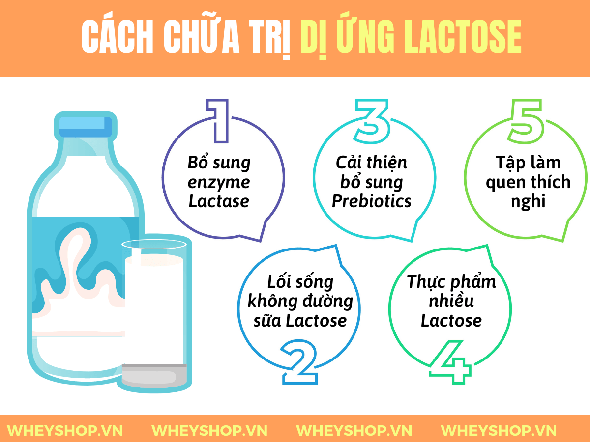 Lactose là gì ? Tìm hiểu khái niệm về Lactose và cách khắc phục các trường hợp tiêu chảy đi ngoài khi sử dụng Whey Mass có chứa thành phần Lactose...
