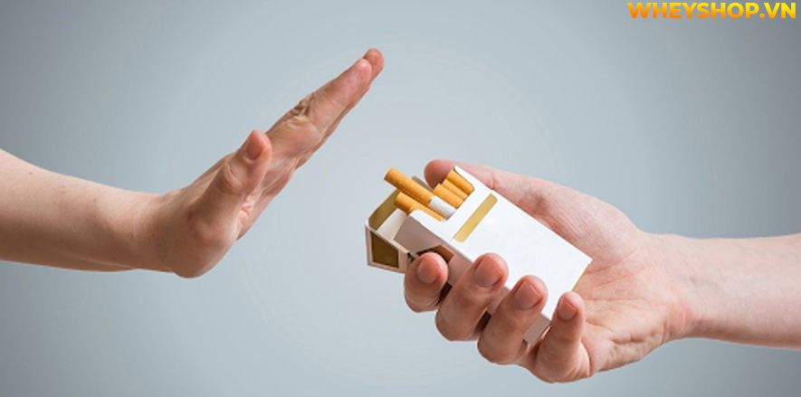 Nếu bạn đang thắc mắc bỏ thuốc lá có tăng cân không thì hãy cùng WheyShop tham khảo chi tiết bài viết ngay sau đây nhé...