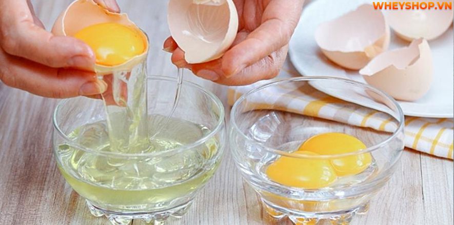 Lòng trắng trứng luôn là thực phẩm giàu dinh dưỡng cho cơ thể. Vậy lòng trắng trứng có tác dụng gì ? Bài viết này, WheyShop sẽ cùng các bạn tìm hiểu chi tiết...