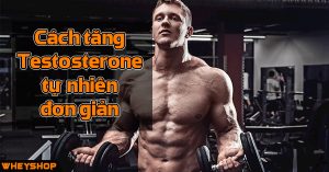 Cách tăng hormone Testosterone Nam Giới tự nhiên đơn giản nhất