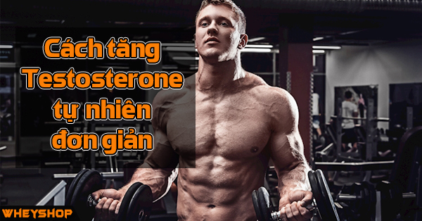 Cach tang hormone Testosterone nam tu nhien don gian Wheyshop