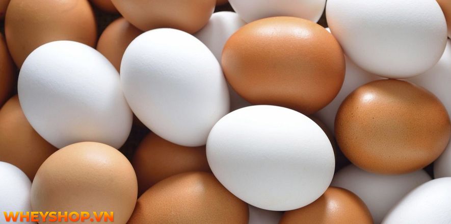 Nếu bạn đang băn khoăn thắc mắc ăn trứng gà hay trứng vịt tốt hơn thì hãy cùng WheyShop giải đáp chi tiết qua bài viết...