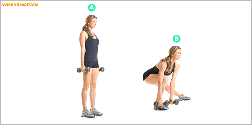 Tổng hợp 25 bài tập chân mông dành cho nữ tại phòng gym tốt nhất mọi thời đại, giúp bạn sở hữu vòng ba căng tròn và đôi chân thon gọn nhanh chóng