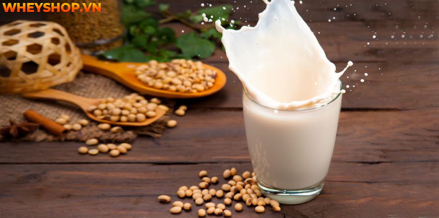Nếu bạn đang băn khoăn uống sữa đậu nành có tác dụng gì thì hãy cùng WheyShop tham khảo chi tiết bài viết sau đây...
