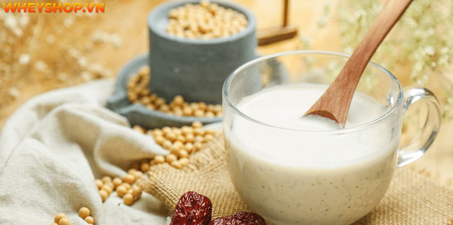 Sữa đậu nành là thức uống dinh dưỡng quen thuộc rất tốt cho sức khoẻ. Vậy uống sữa đậu nành có giảm cân không? Cùng WheyShop tìm hiểu qua bài...