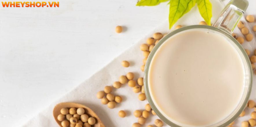 Nếu bạn đang băn khoăn uống sữa đậu nành có tác dụng gì thì hãy cùng WheyShop tham khảo chi tiết bài viết sau đây...