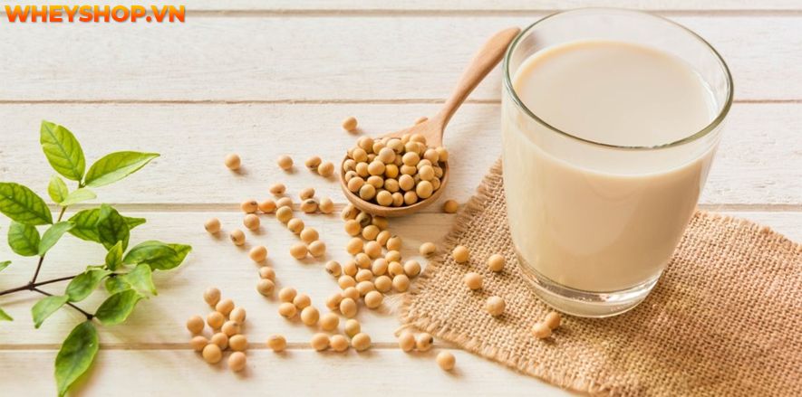 Sữa đậu nành là thức uống dinh dưỡng quen thuộc rất tốt cho sức khoẻ. Vậy uống sữa đậu nành có giảm cân không? Cùng WheyShop tìm hiểu qua bài...