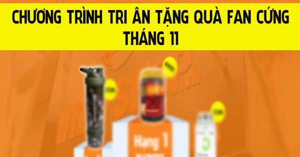 FAN CỨNG THANG 11 ANH WEB