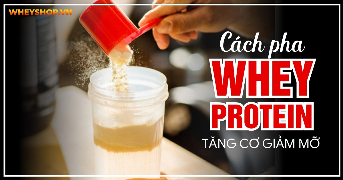 cach-pha-whey-protein-tang-co-giam-mo