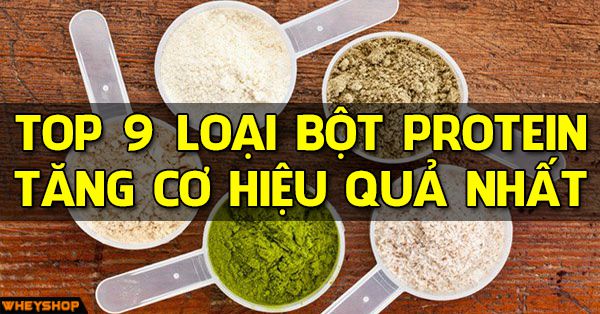 top 9 loai bot protein tang co hieu qua nhat wheyshop vn