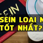 casein loai nao tot nhat wheyshop vn compressed