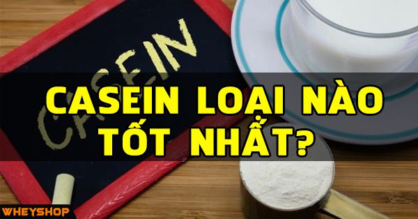casein loai nao tot nhat wheyshop vn compressed