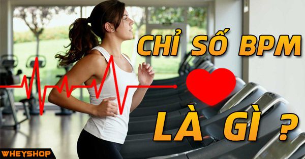 Những bệnh lý liên quan đến chỉ số BPM như thế nào và cần phải chú ý những gì?