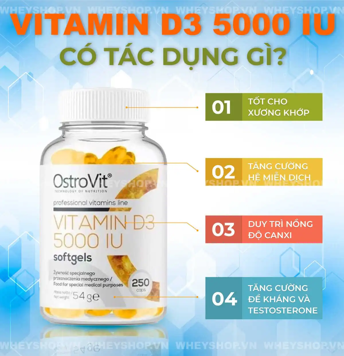 Vitamine D3 là gì, Vitamin D3 5000 IU có tác dụng gì, Vitamin D3 Supplement mua ở đâu chính hãng, Cách dùng Vitamine D3 Supplement cho người lớn , tập gym ,...