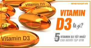 Vitamine D3 là gì? Top 5 Vitamin D3 tốt nhất cho người tập gym