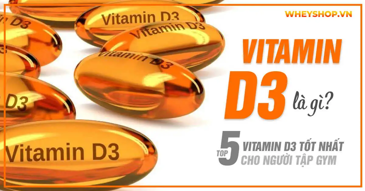 vitamine-d3-la-gi-cach-dung-vitamin-d3-cho-nguoi-lon-hieu-qua