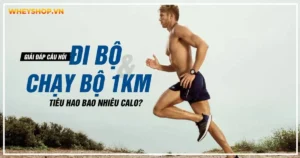 Giải đáp câu hỏi đi bộ và chạy bộ 1km tiêu hao bao nhiêu calo?
