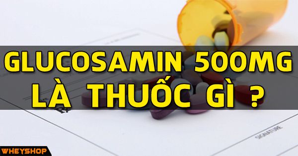 Có những bệnh nào được khuyến nghị sử dụng thuốc glucosamin 500mg trong điều trị?
