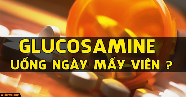 Glucosamine uống ngày mấy viên?
