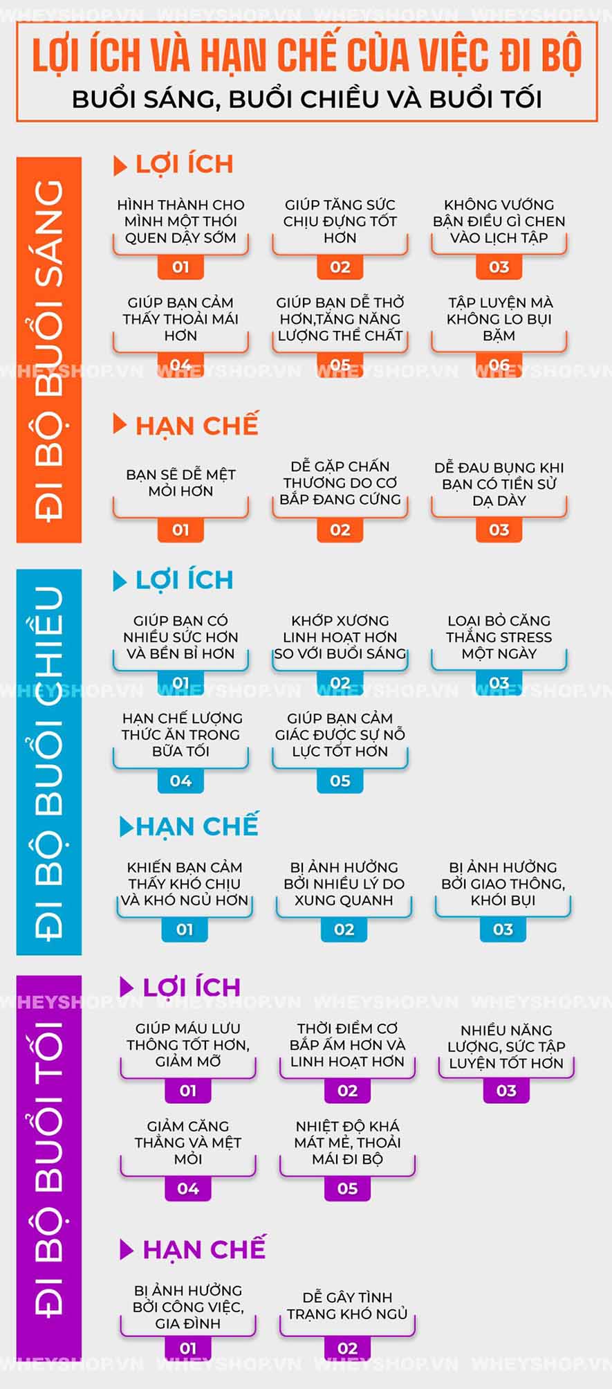 Lợi ích và hạn chế của việc đi bộ buổi sáng, buổi chiều và buổi tối, đi bộ buổi sáng hay tối tốt hơn, thời gian lý tưởng để đi bộ vào buổi tối, hướng dẫn đi bộ buổi tối hiệu quả cao nhất...