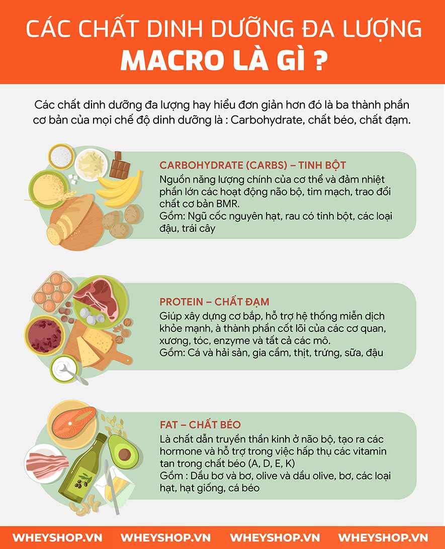 Hướng dẫn cách tính Macro từng bước vô cùng đơn giản. Macro giúp kiểm soát calories nạp vào, hỗ trợ giảm cân hiệu quả, tăng cân tăng cơ dễ dàng cho bất cứ ai...