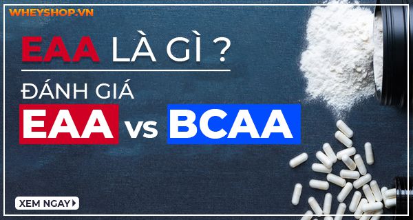 EAA và BCAA có khác nhau gì?
