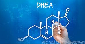 DHEA là gì ? Lợi ích, cách sử dụng, tác dụng phụ của DHEA