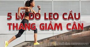 5 Lý do Leo Cầu Thang Giảm Cân Là Bài Tập Tốt Nhất