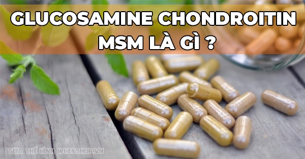 Glucosamine chondroitin MSM có hiệu quả trong điều trị viêm khớp và thoái hóa đốt sống không?
