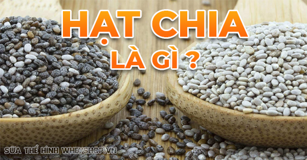 Hạt chia có thành phần dinh dưỡng gì?
