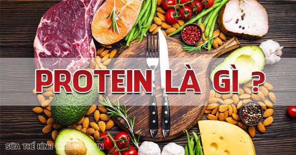 Protein là gì ? Vai trò của Protein với cơ bắp và cuộc sống