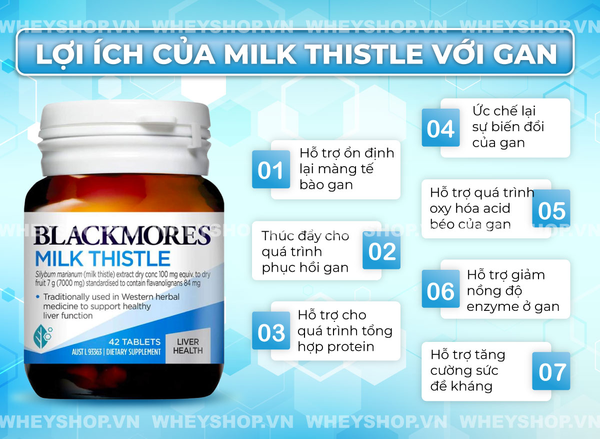 Milk Thistle là gì ? Cùng WheyShop tìm hiểu những lợi ích, tác dụng phụ mà bạn chưa biết về thuốc bổ gan chiết xuất Milk Thistle đối với sức khỏe...